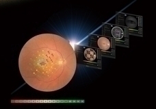 自動追蹤和自動對焦